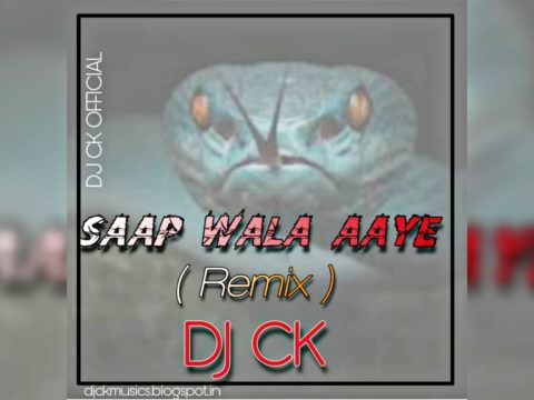 CG SONG EDM MIX - SAAP WALA DJ CK