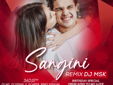 Sangini (Chillout Mix) DJ MSK Chhattisgarhi Song 2020