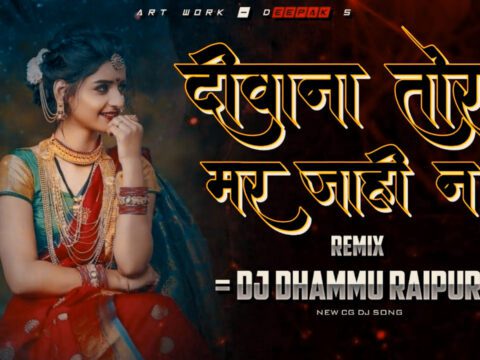 Deewana Tor Mar Jahi Na (Cg Full Bass Mix) Dj Dhammu_Raipur Mp3 Download